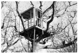 [Treehouse photograph by Richard Miller] 